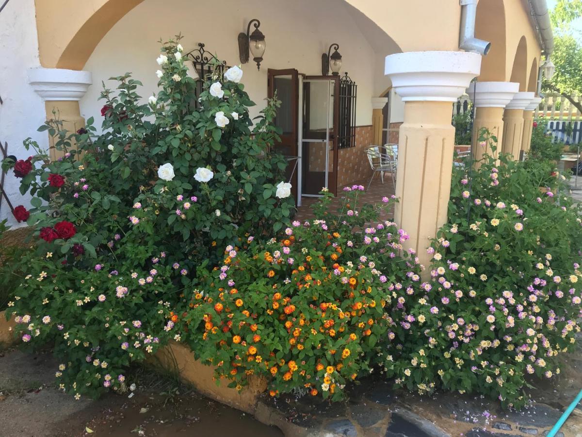 Finca La Rosalia Setenil De Las Bodegas Buitenkant foto
