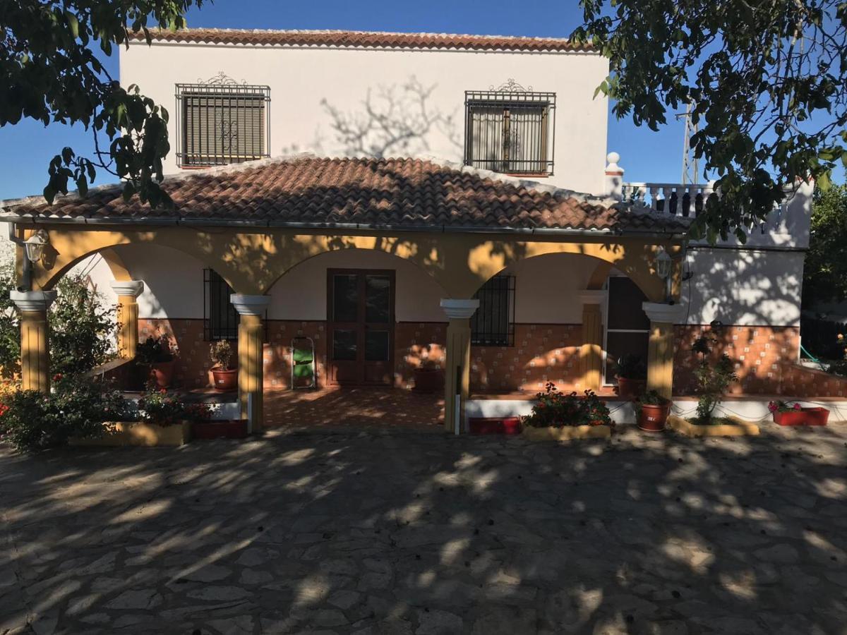 Finca La Rosalia Setenil De Las Bodegas Buitenkant foto